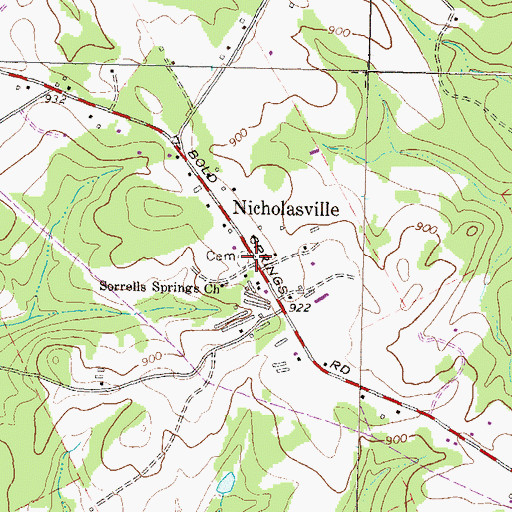 Topographic Map of Nicholasville, GA