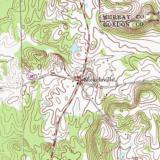 Topographic Map of Nickelsville, GA