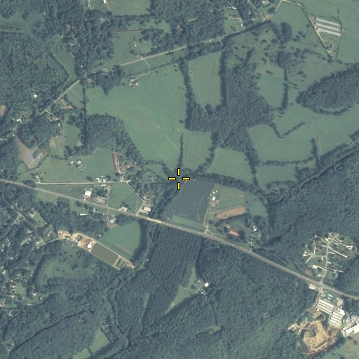 Aerial/Satellite Image of Palmer Creek, GA