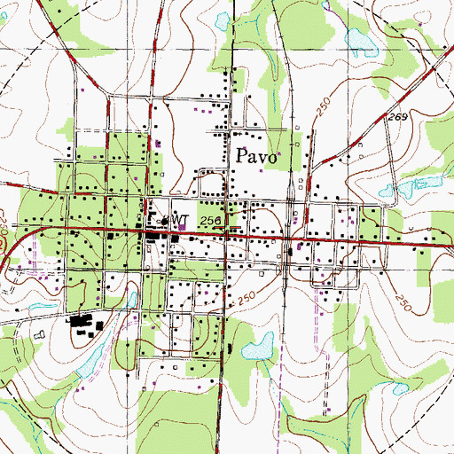 Topographic Map of Pavo, GA