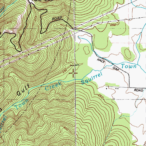 Topographic Map of Richmond Gulf, GA