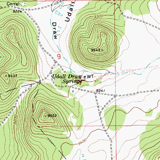 Topographic Map of Udall Draw Springs, AZ