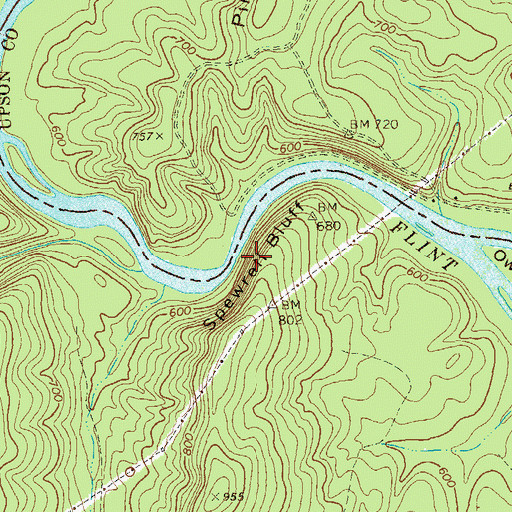 Topographic Map of Spewrell Bluff, GA