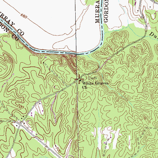 Topographic Map of White Graves Church, GA