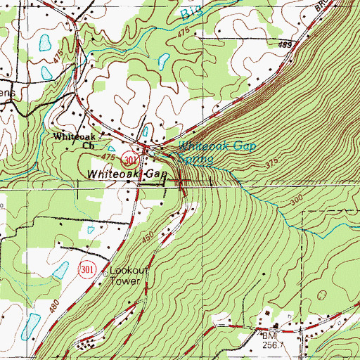 Topographic Map of Whiteoak Gap, GA