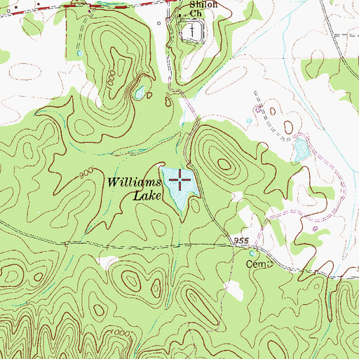 Topographic Map of Williams Lake, GA