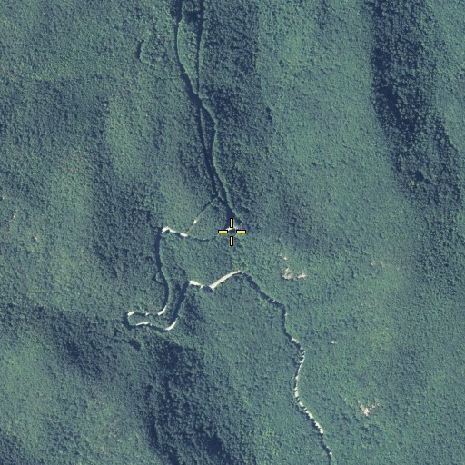 Aerial/Satellite Image of Neels Gap, GA