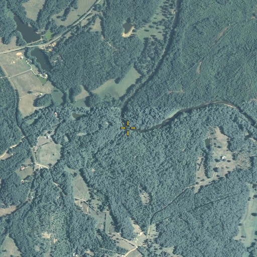 Aerial/Satellite Image of Horseshoe Bend, GA