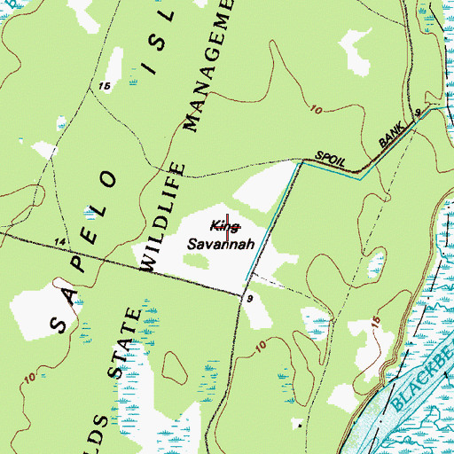 Topographic Map of King Savannah, GA