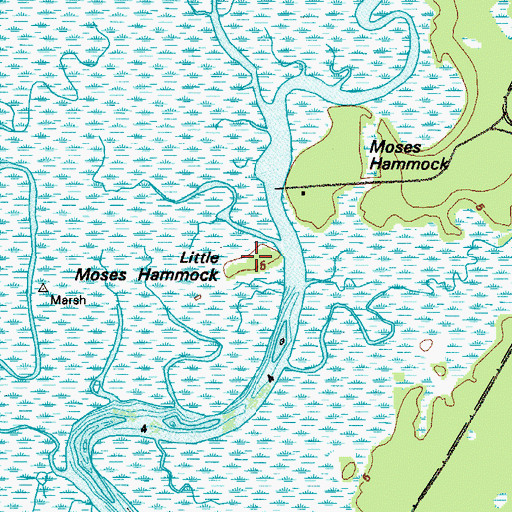Topographic Map of Little Moses Hammock, GA