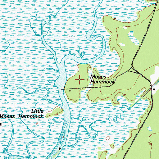 Topographic Map of Moses Hammock, GA