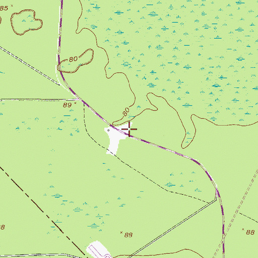 Topographic Map of Grace Church, GA