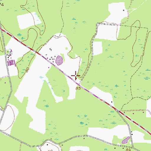 Topographic Map of Gum Branch School (historical), GA