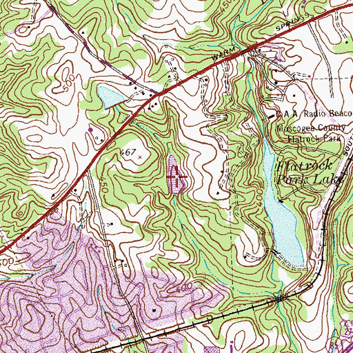 Topographic Map of Billings Pond, GA