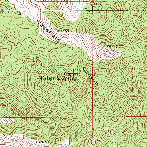 Topographic Map of Upper Wakefield Spring, AZ
