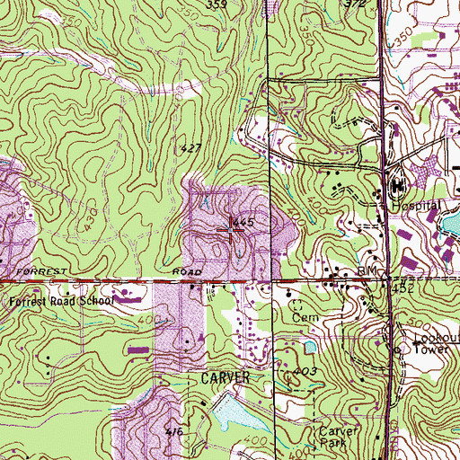 Topographic Map of Forest Hills, GA