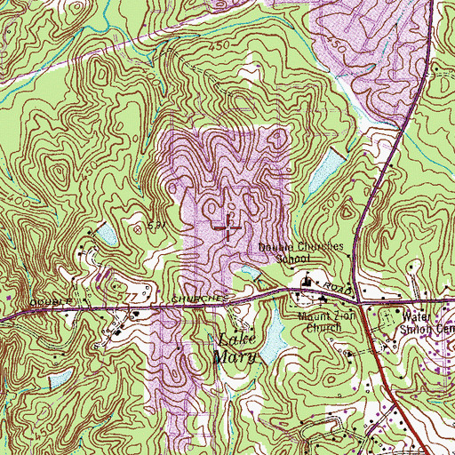 Topographic Map of Moores Forest, GA