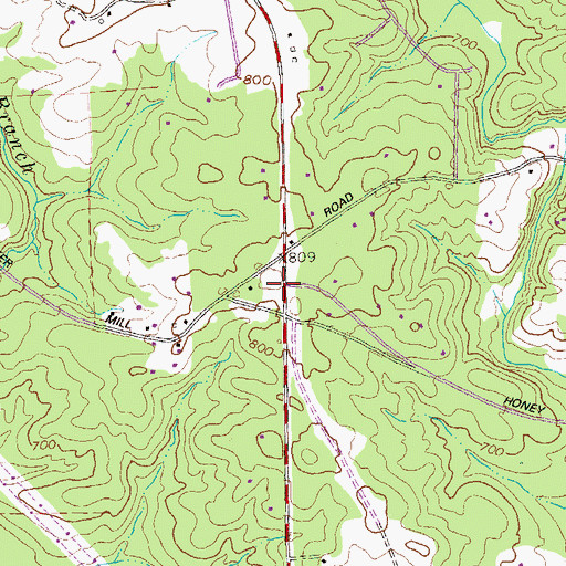 Topographic Map of Blossom (historical), GA
