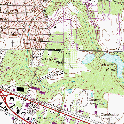 Topographic Map of Mount Pleasant Cemetery, GA