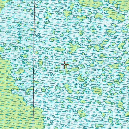Topographic Map of Big Lake, GA
