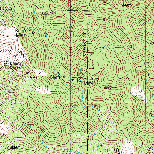 Topographic Map of Viceroy Mine, AZ