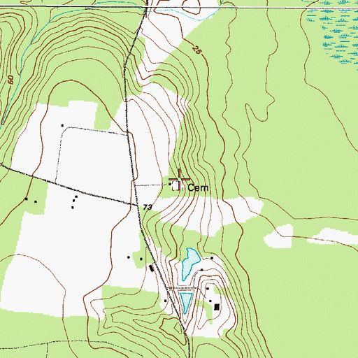 Topographic Map of Corinth Cemetery, GA