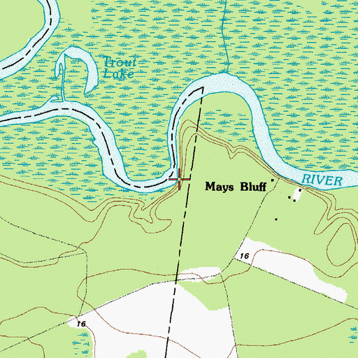 Topographic Map of Gormans Bluff, GA