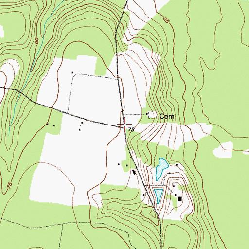 Topographic Map of Prescott (historical), GA