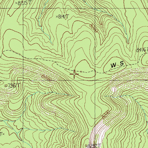 Topographic Map of W S Mountain, AZ