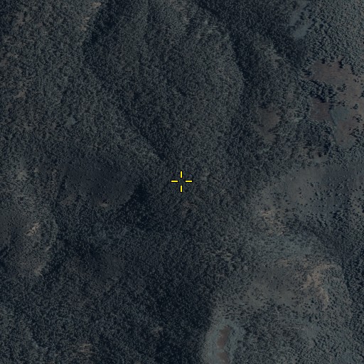 Aerial/Satellite Image of W S Mountain, AZ