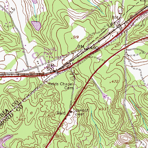Topographic Map of Reids Chapel, GA