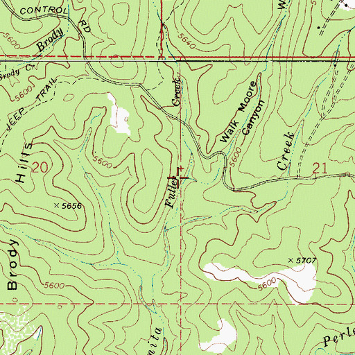 Topographic Map of Walk Moore Canyon, AZ