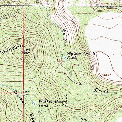 Topographic Map of Walker Creek Tank, AZ