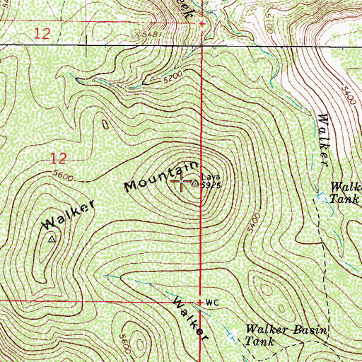 Topographic Map of Walker Mountain, AZ