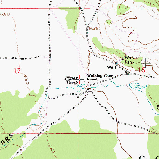 Topographic Map of Walking Cane Ranch, AZ