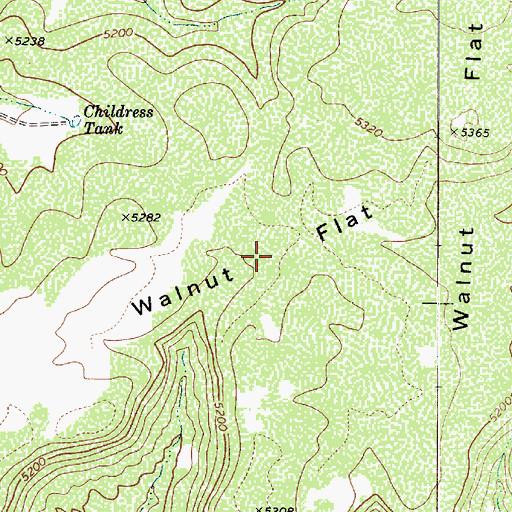 Topographic Map of Walnut Flat, AZ