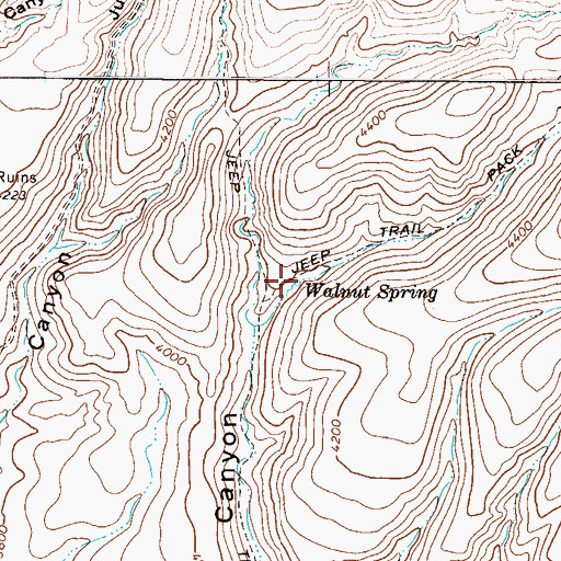 Topographic Map of Walnut Spring, AZ