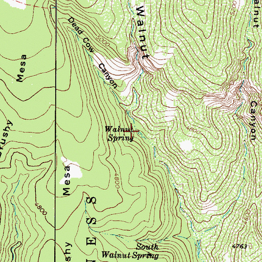Topographic Map of Walnut Spring, AZ