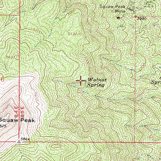 Topographic Map of Walnut Spring, AZ