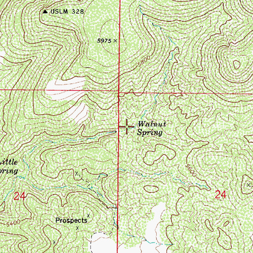 Topographic Map of Walnut Spring, AZ