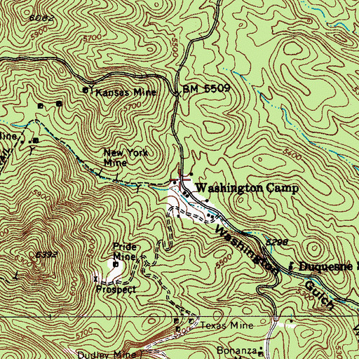 Topographic Map of Washington Camp, AZ