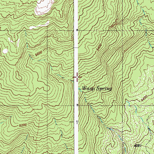 Topographic Map of Wasp Spring, AZ