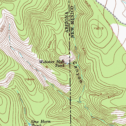 Topographic Map of Webster Hole Tank, AZ