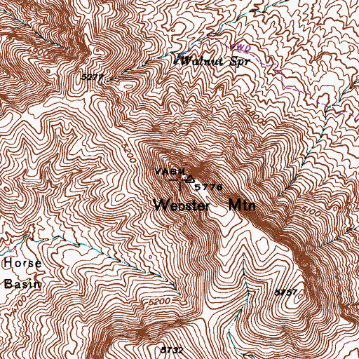 Topographic Map of Webster Mountain, AZ