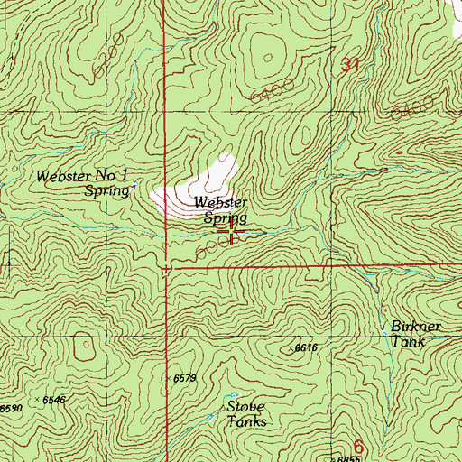 Topographic Map of Webster Spring, AZ