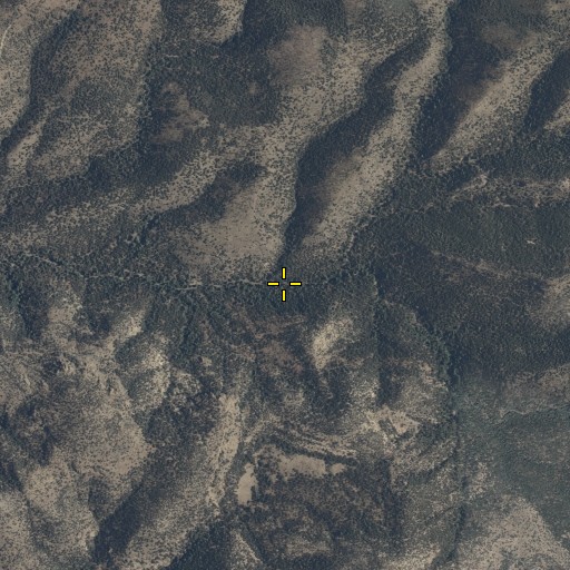 Aerial/Satellite Image of Webster Spring, AZ