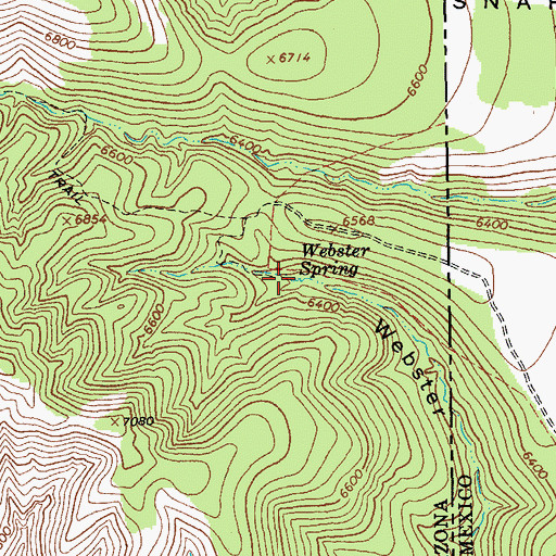 Topographic Map of Webster Spring, AZ