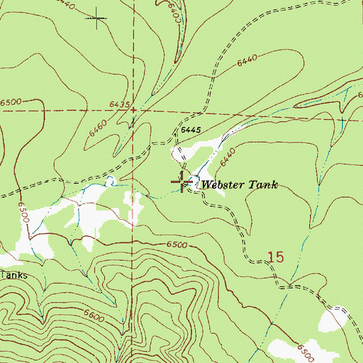 Topographic Map of Webster Tank, AZ