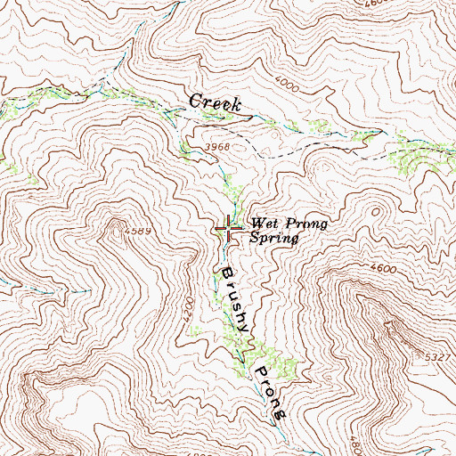 Topographic Map of Wet Prong Spring, AZ