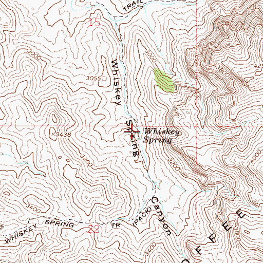 Topographic Map of Whiskey Spring, AZ